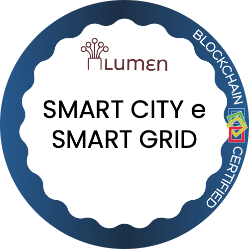 SMART CITY e SMART GRID