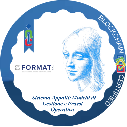 Sistema Appalti: Modelli di Gestione e Prassi Operativa