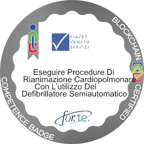 Logo del badge BLSD