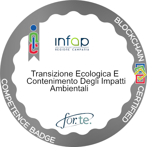 Logo del badge EFFICIENTAMENTO ENERGETICO, TRANSIZIONE ECOLOGICA, SOSTENIBILITÀ ED IMPATTO AMBIENTALE