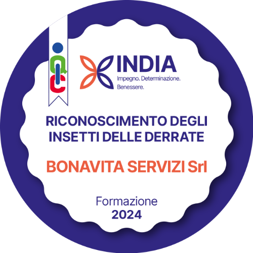 Riconoscimento degli Insetti delle Derrate