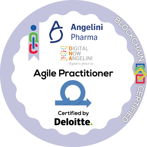 Agile Practitioner