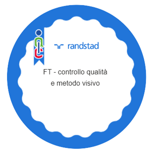 FT 038DMRTD2251819 -  controllo qualità e metodo visivo