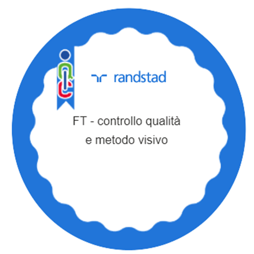 FT 038DMRTD2261335 -  controllo qualità e metodo visivo