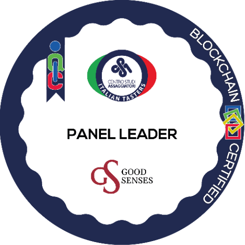 Panel Leader
