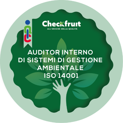 Corso per la qualifica di Auditor Interno di Sistemi di Gestione Ambientale ISO 14001