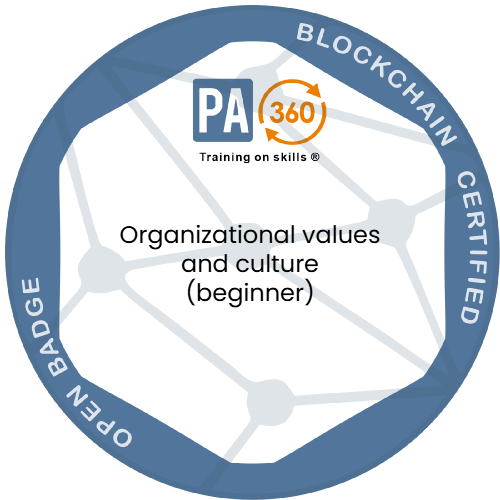 Organizational values and culture (beginner)