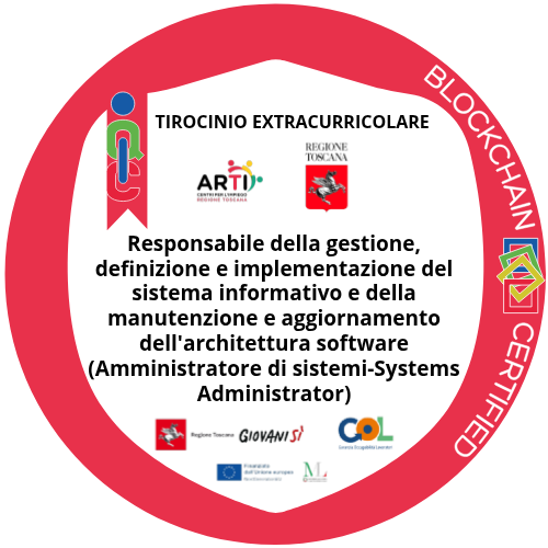 Responsabile della gestione, definizione e implementazione del sistema informativo e della manutenzione e aggiornamento dell'architettura software (Amministratore di sistemi-Systems Administrator)