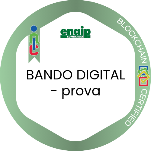 Badge pubblico 102787