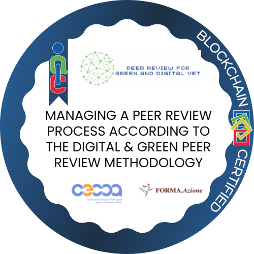 Badge pubblico 102991