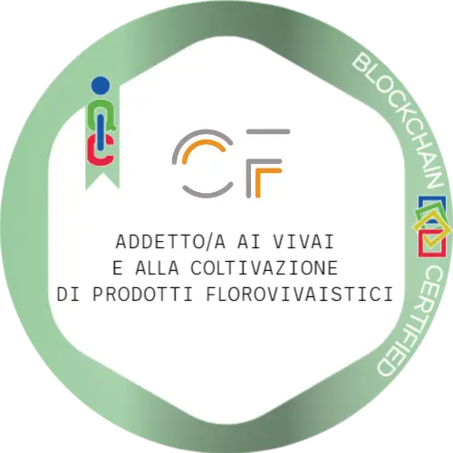 Badge pubblico 114186