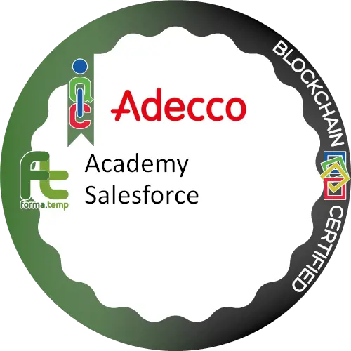 Badge pubblico 12080