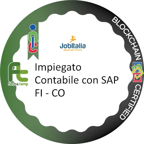 Badge pubblico 12579