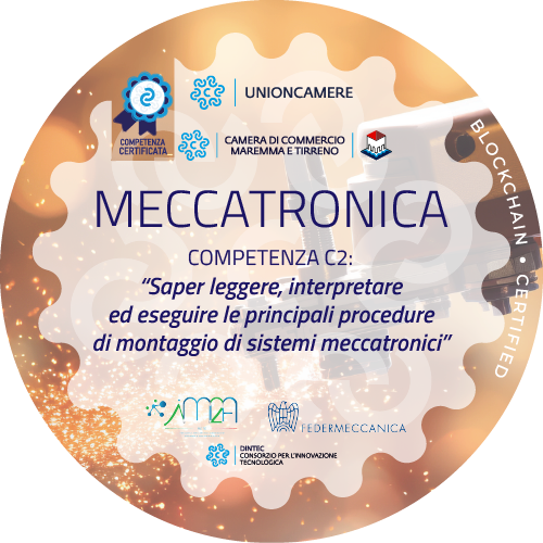 Badge pubblico 68651