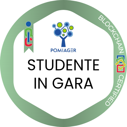 Badge pubblico 94174