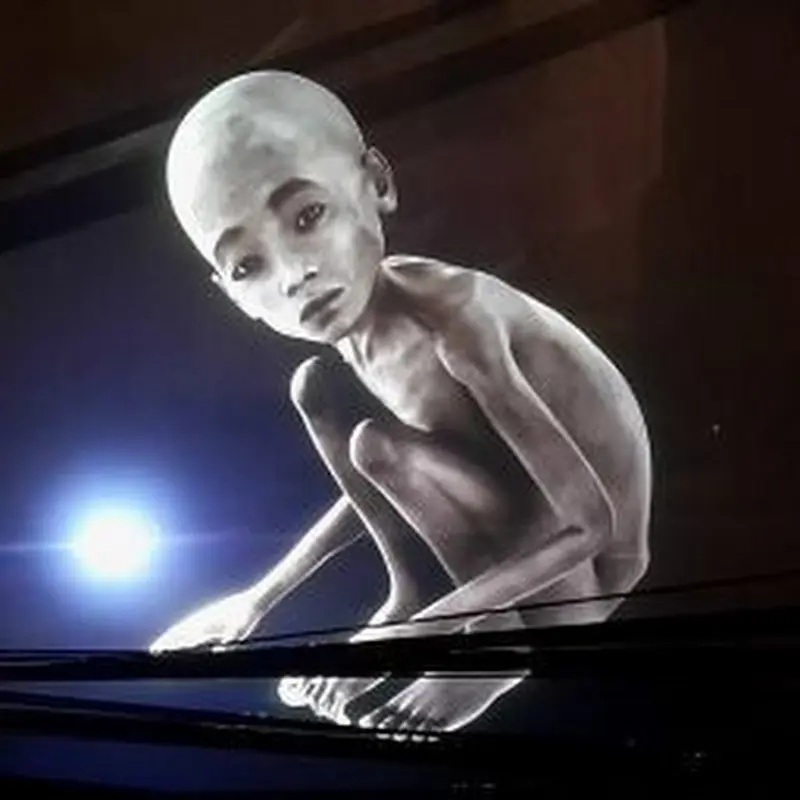 Foto del profilo di l f