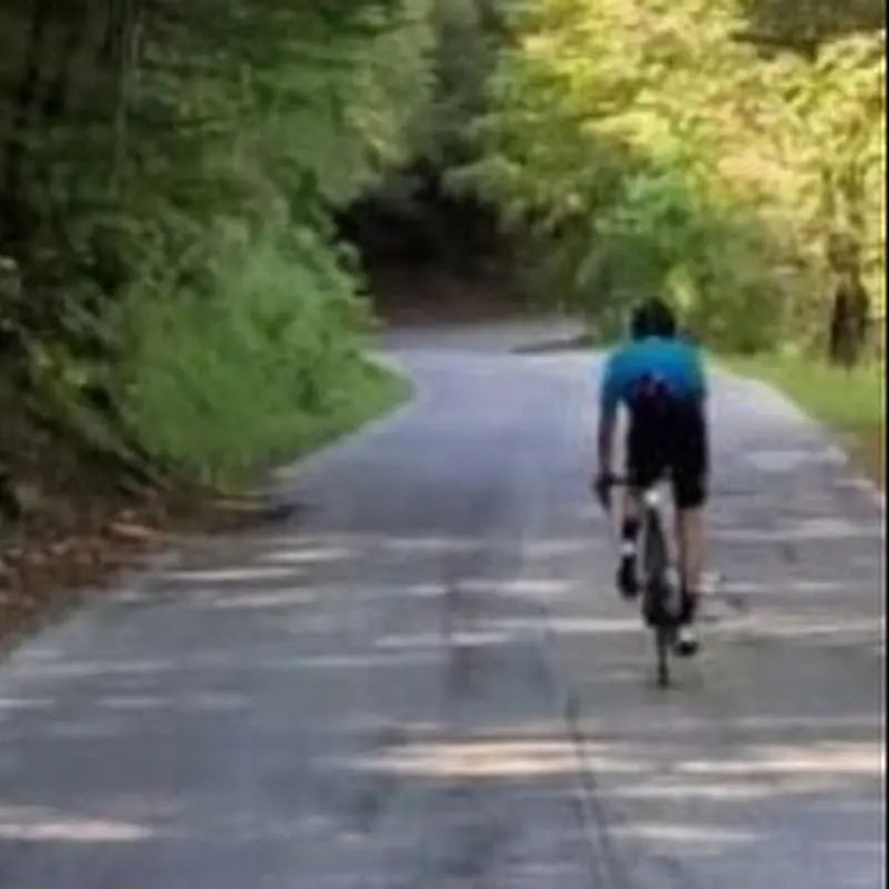 Foto del profilo di pietro paciotti