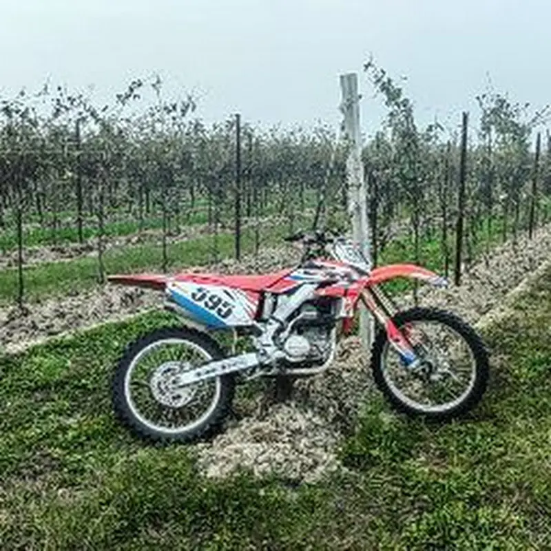 Foto del profilo di Mattia Vicenzutto