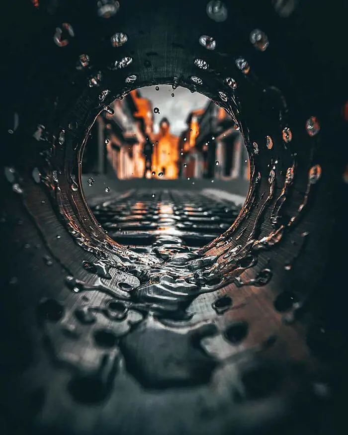 Foto del profilo di GRAZIA LA PORTA