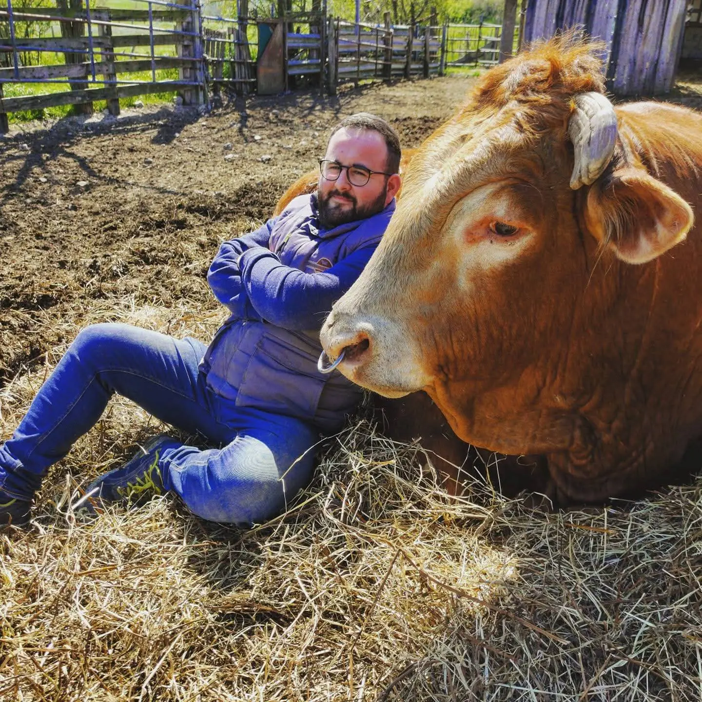 Foto del profilo di Massimiliano Gambicorti