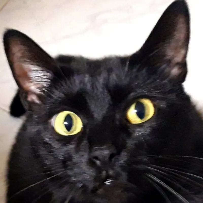 Foto del profilo di marco brega