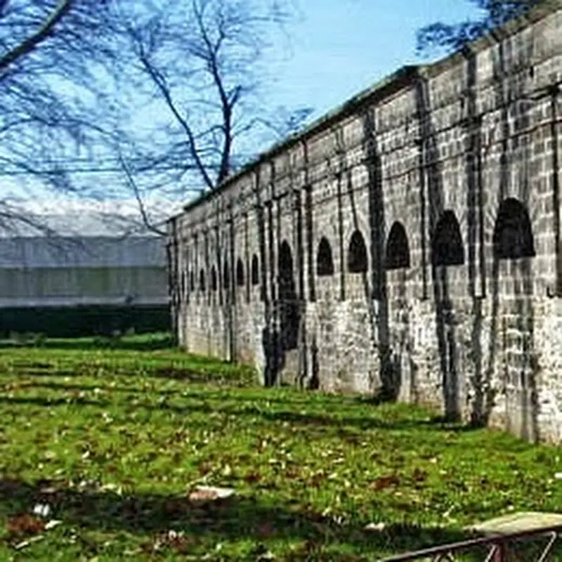 Foto del profilo di Fabio Colangelo